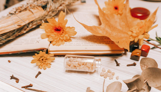 Herbal Medicine Through the Ages: A Journey Through History